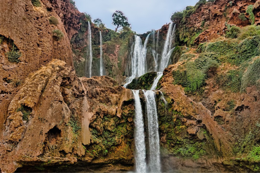Day trip from Marrakech to Ouzoud Waterfalls